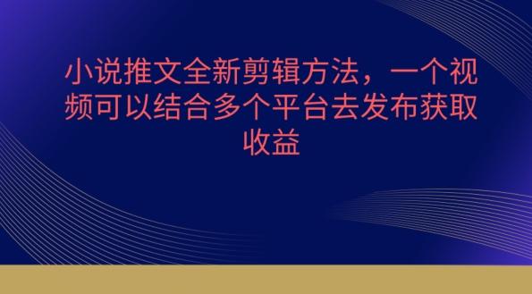 小说推文全新剪辑方法，一个视频可以结合多个平台去发布获取【揭秘】-七七项目网