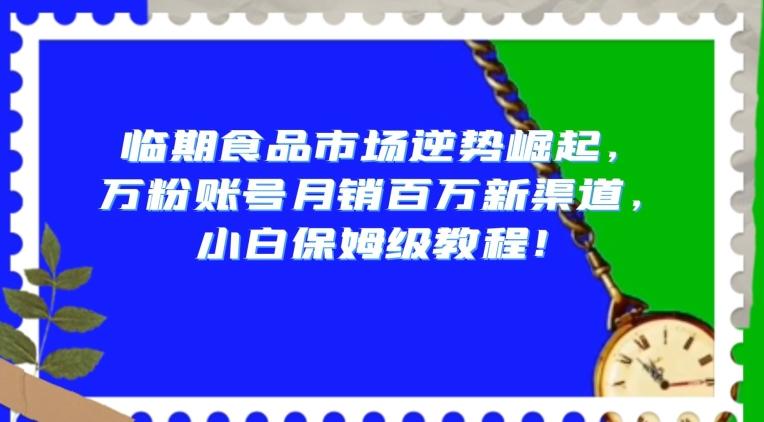 临期食品市场逆势崛起，万粉账号月销百万新渠道，小白保姆级教程【揭秘】-七七项目网