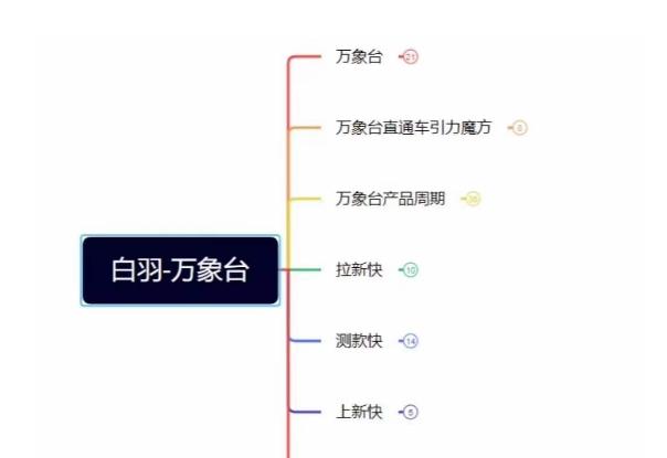 白羽·直引万搜索全篇，从0-1，多个类目实操经验总结付费-七七项目网