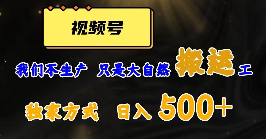 视频号轻松搬运日赚500+，一个1分钟1条原创视频【揭秘】-七七项目网
