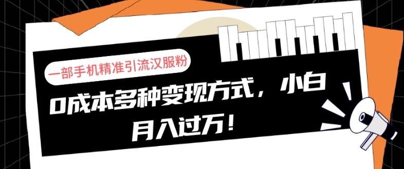 一部手机精准引流汉服粉，0成本多种变现方式，小白月入过万！-七七项目网