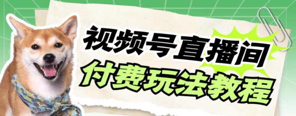 视频号美女付费无人直播，轻松日入500+【详细玩法教程】-七七项目网