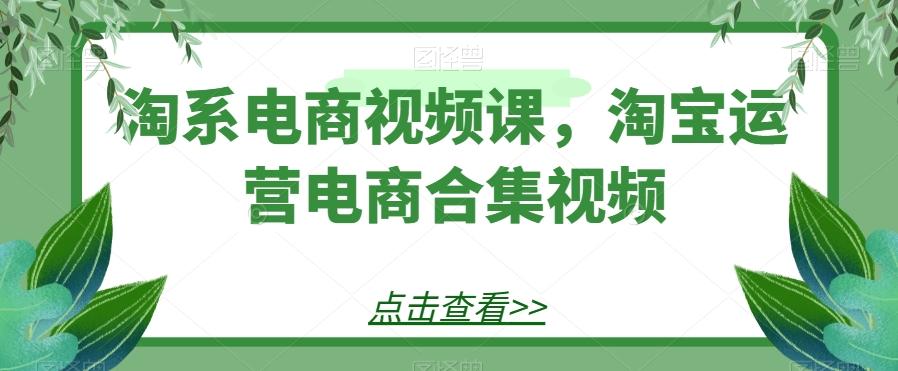 淘系电商视频课，淘宝运营电商合集视频-七七项目网