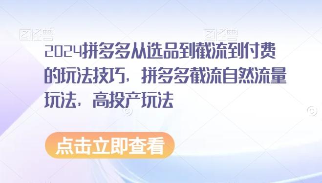 2024拼多多从选品到截流到付费的玩法技巧，拼多多截流自然流量玩法，高投产玩法-七七项目网