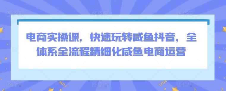 电商实操课，快速玩转咸鱼抖音，全体系全流程精细化咸鱼电商运营-七七项目网