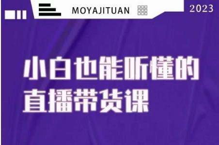 大威本威·能听懂的直播带货课，小白也能听懂，20节完整-七七项目网