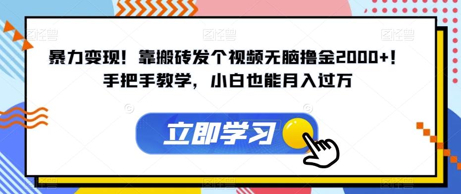 暴力变现！靠搬砖发个视频无脑撸金2000+！手把手教学，小白也能月入过万【揭秘】-七七项目网