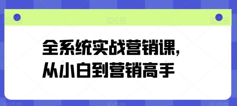 全系统实战营销课，从小白到营销高手-七七项目网