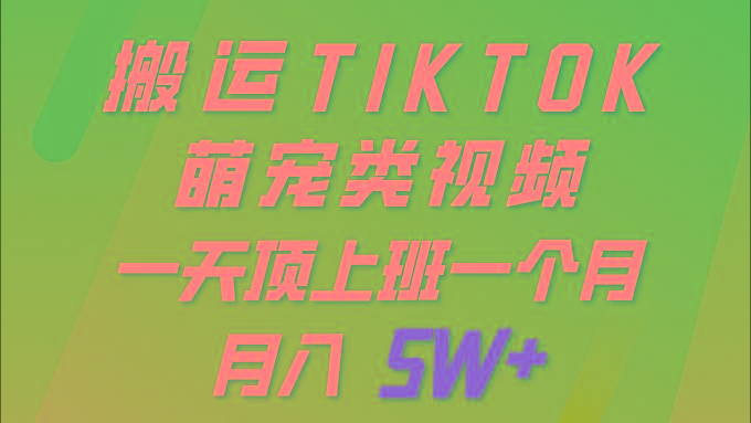 (9931期)一键搬运TIKTOK萌宠类视频 一部手机即可操作 所有平台均可发布 轻松月入5W+-七七项目网