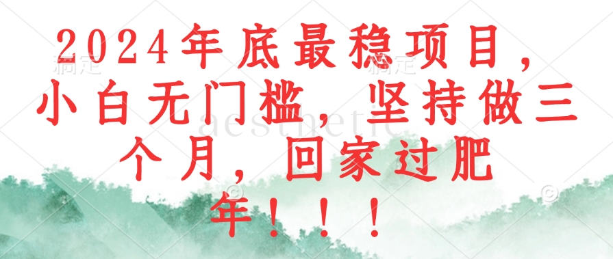 2024年底最稳项目，小白无门槛，坚持做三个月，回家过肥年！！！-七七项目网