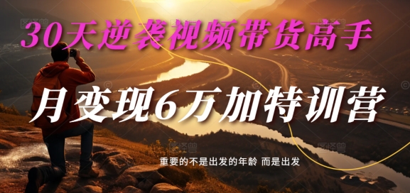30天逆袭视频带货高手，单月变现6万加特训营-麦子甜-七七项目网