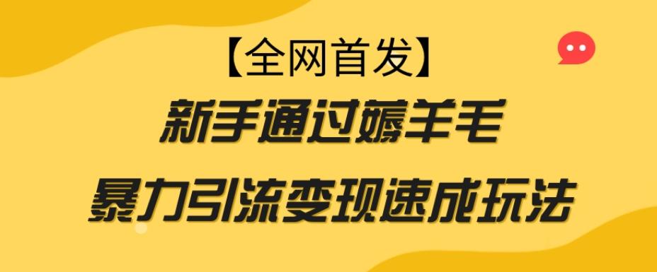 【全网首发】新手通过薅羊毛暴力引流变现速成玩法-七七项目网