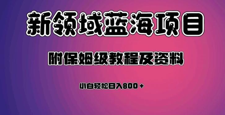 虚拟资源蓝海领域新项目，轻松日入800＋，附保姆级教程及资料-七七项目网
