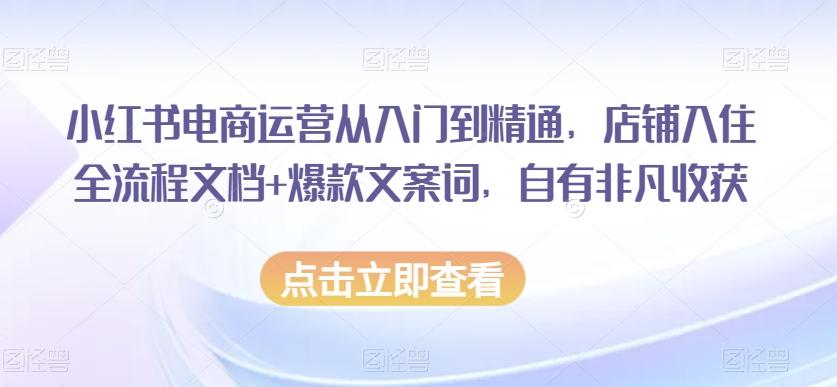 小红书电商运营从入门到精通，店铺入住全流程文档+爆款文案词，自有非凡收获-七七项目网