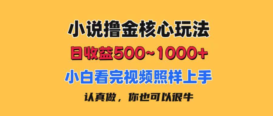 小说撸金核心玩法，日收益500-1000+，小白看完照样上手，0成本有手就行-七七项目网
