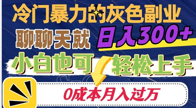 冷门暴利的副业项目，聊聊天就能日入300+，0成本月入过万【揭秘】-七七项目网