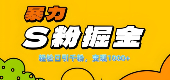 单人单机日引千粉，变现1k+，S粉流量掘金计划攻略【揭秘】-七七项目网