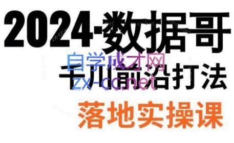 数据哥·2024年千川前沿打法落地实操课-七七项目网