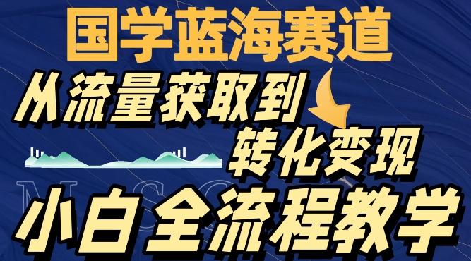 国学蓝海赛道，从流量获取，到转化变现，全流程教学-七七项目网