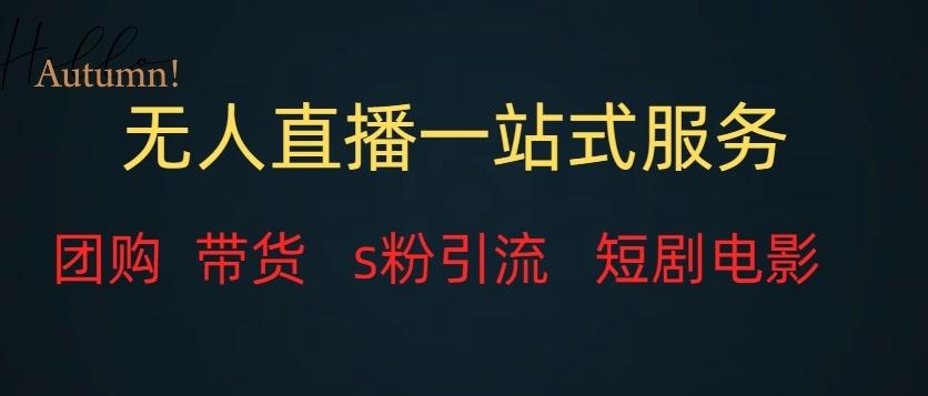 无人直播一站式服务（教程以及变现方式）-七七项目网