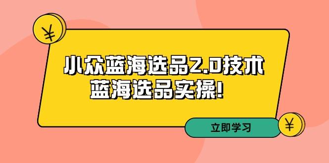 拼多多培训第33期：小众蓝海选品2.0技术-蓝海选品实操！-七七项目网