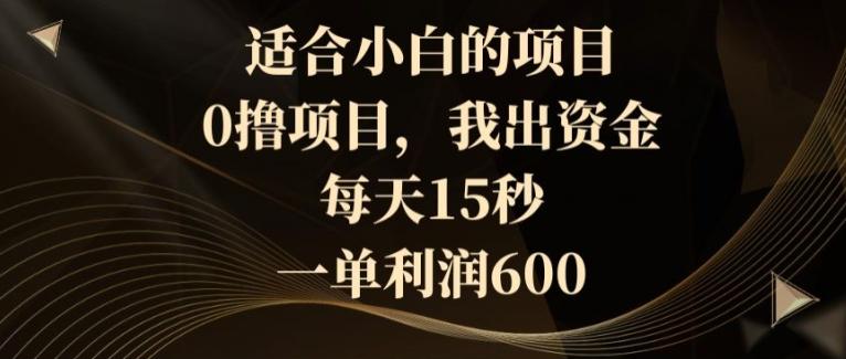 适合小白的项目，0撸项目，我出资金，每天15秒，一单利润600-七七项目网