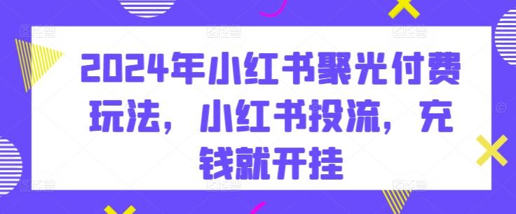 2024年小红书聚光付费玩法，小红书投流，充钱就开挂-七七项目网