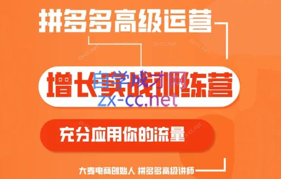 大麦老师·拼多多单品爆款打造课程(更新6月)-七七项目网