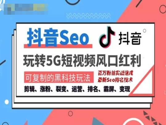 抖音SEO引流培训课程-抓住抖音风口，实现搜索排名，获取精准流量，快速成交变现-七七项目网