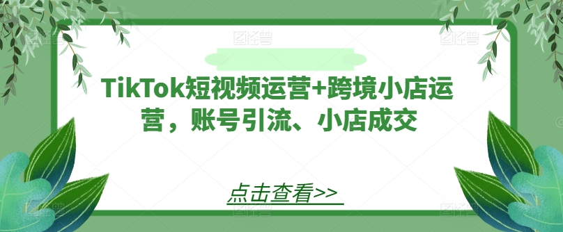 TikTok短视频运营+跨境小店运营，账号引流、小店成交-七七项目网