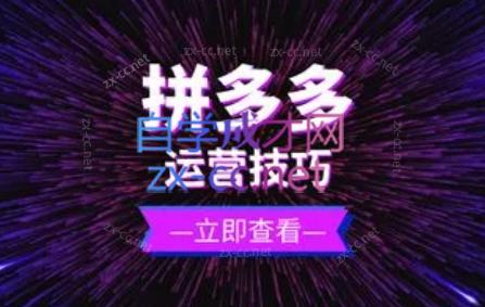 力辛电商·拼多多强付费店群玩法-七七项目网