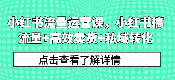 小红书流量运营课，小红书搞流量+高效卖货+私域转化-七七项目网