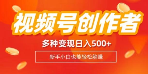 视频号创作者计划，多种变现方式，日入500+【内附1080g视频素材】-七七项目网
