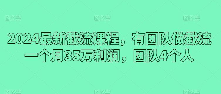 2024最新截流课程，有团队做截流一个月35万利润，团队4个人-七七项目网