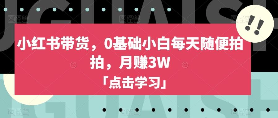 小红书带货，0基础小白每天随便拍拍，月赚3W【揭秘】-七七项目网
