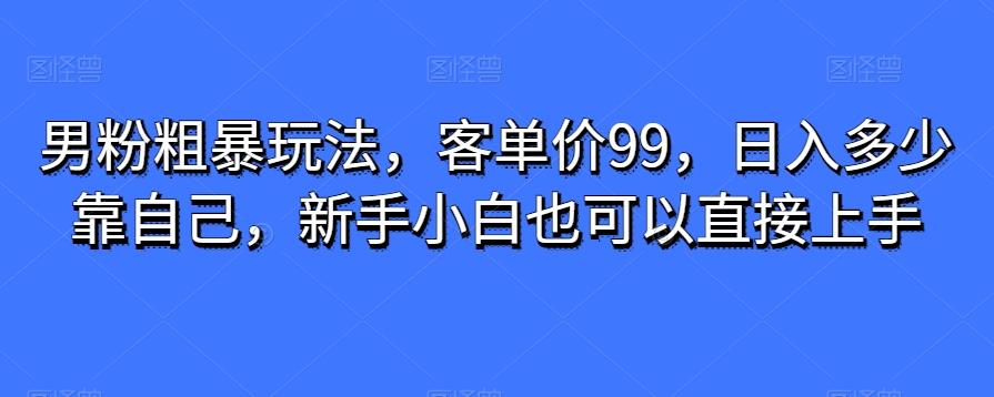 男粉粗暴玩法，客单价99，日入多少靠自己，新手小白也可以直接上手-七七项目网