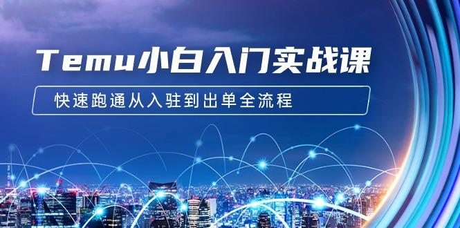 (9295期)Temu小白入门实战课：跨境拼多多电商培训 快速跑通从入驻到出单全流程-12节-七七项目网