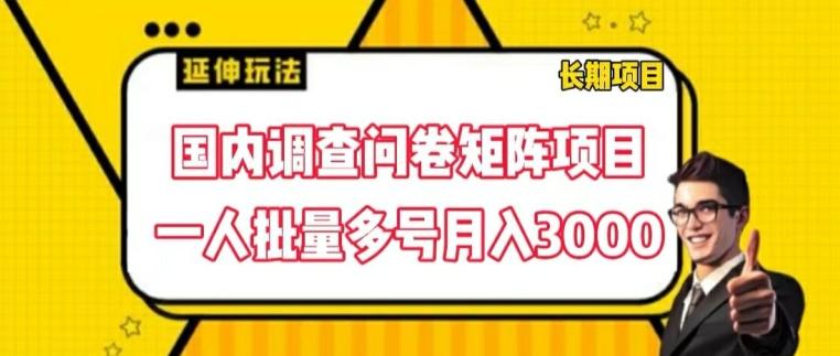 国内调查问卷矩阵项目，一人批量多号月入3000【揭秘】-七七项目网