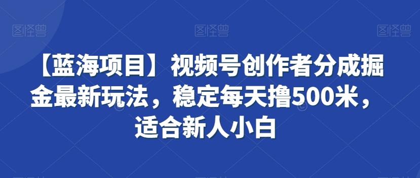 【蓝海项目】视频号创作者分成掘金最新玩法，稳定每天撸500米，适合新人小白【揭秘】-七七项目网