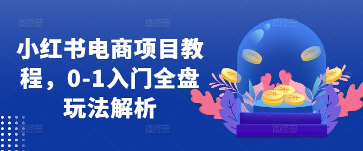 小红书电商项目教程，0-1入门全盘玩法解析-七七项目网