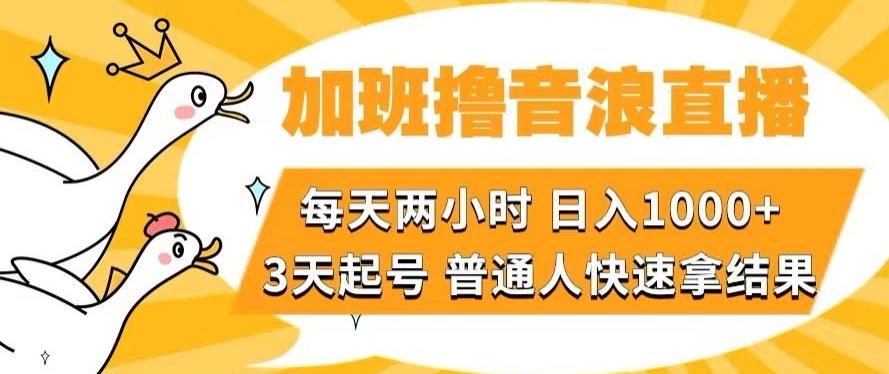 加班撸音浪直播，每天两小时，日入1000+，直播话术才3句，3天起号，普通人快速拿结果【揭秘】-七七项目网