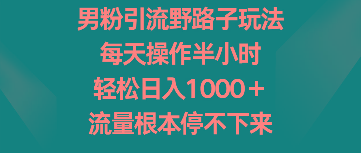 男粉引流野路子玩法，每天操作半小时轻松日入1000＋，流量根本停不下来-七七项目网