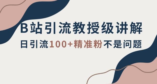 B站引流教授级讲解，细节满满，日引流100+精准粉不是问题【揭秘】-七七项目网