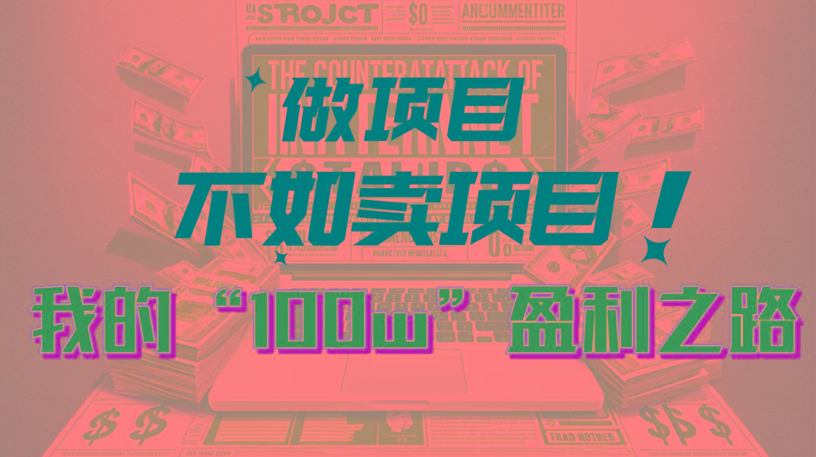 为什么做项目不如卖项目？我的100W+盈利之路-七七项目网