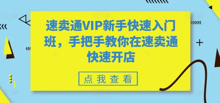 速卖通VIP新手快速入门班，手把手教你在速卖通快速开店-七七项目网