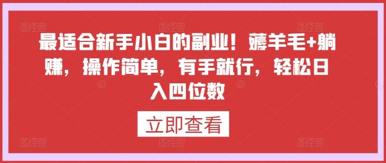 最适合新手小白的副业！薅羊毛+躺赚，操作简单，有手就行，轻松日入四位数【揭秘】-七七项目网