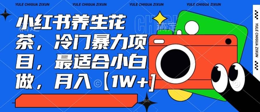 小红书养生花茶，冷门暴力项目，最适合小白做，月入【1W+】-七七项目网