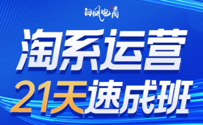 淘系运营21天速成班(更新9月)-七七项目网