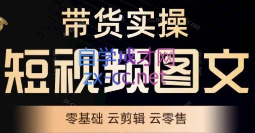 鑫哥·2024零基础短视频带货实操营-七七项目网