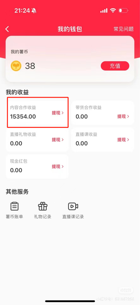 热门评论引爆小红书流量，作品制作简单，广告接到手软，月入过万不是梦-七七项目网